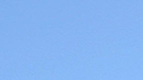 Las festividades arrancan desde las 3 p.m. afuera del Staples Center en LA Live.