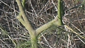 Aerial Views Of The U.S.-Mexico Border On The Rio Grande