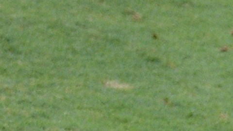 Neymar tendrá una dura prueba ante la garra charrúa.