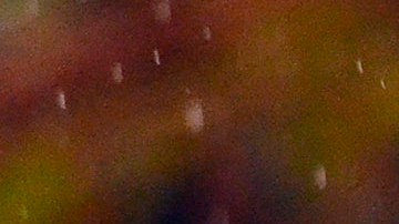 James Rodríguez intentará guiar a Colombia a una victoria en casa sobre Ecuador.