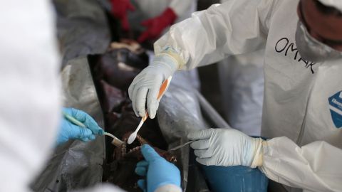 MEXICO-CRIME-CREMATORIUM