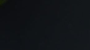 Fast 8 tiene programado su estreno el 14 de abril del 2017 en Estados Unidos.