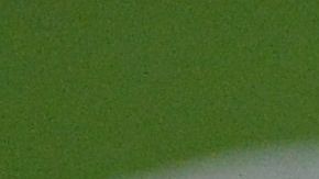 No son frecuentes las muestras de violencia en la Premier League.