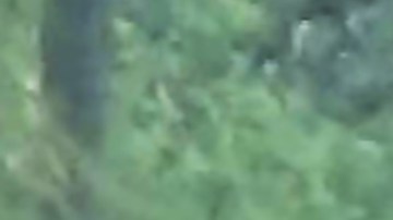 El incidente ocurrido este lunes sucedió ante la mirada de varios vecinos, que gritaban y pedían ayuda, pero no pudieron hacer nada por la víctima del ataque.