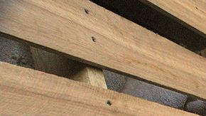 Homelessness On The Rise In New York