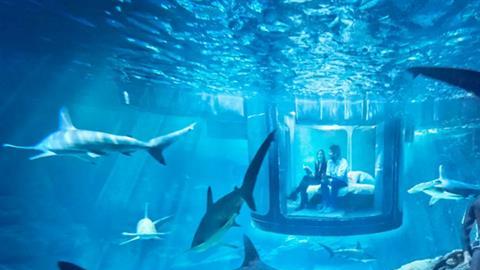 Así se ve la habitación sumergida en el acuario.