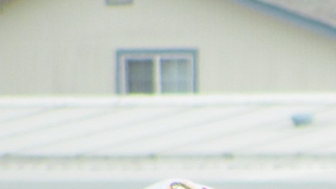 El exportero de la Tri Jorge Campos participará en el torneo Alianza.  