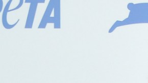 La actriz ha revelado todos los detalles de su reunión con El Chapo y Sean Penn.