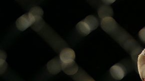 La rivalidad entre estos dos retadores le genera muchas ganancias a la UFC.