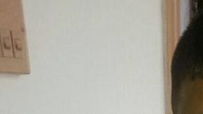 El conflicto por la custodia de Iftikhar Ahmad, de 4 años, refleja el problema que divide la Cachemira administrada por India y la pakistaní.