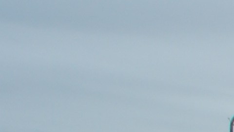 Varias organizaciones activistas se reunieron en la protesta para demandar un fin a las deportaciones, que han afectado a familias y sobre todo a la mujer.