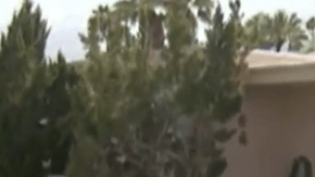 El padre murió tras salvar a su hija de 9 años de la piscina.