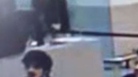 Una cámara de vigilancia del aeropuerto de Zaventem, en Bruselas, captó hoy la imagen de los supuestos autores de las explosiones ocurridas esta mañana, informó el diario "La Libre Belgique".
