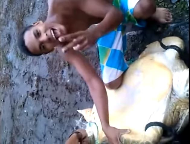 Este video de unos sujetos que torturan y matan a una tortuga te dejará sin palabras