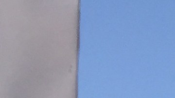 Trump-AlejandraVillagra2