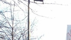 Trump-BelhuSanabria7