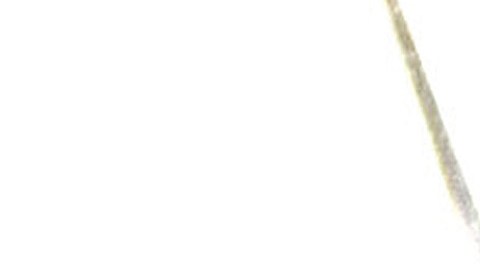 Gabriela Zapata Montaño (i), expareja del presidente de Bolivia, Evo Morales, acompañada de su abogado