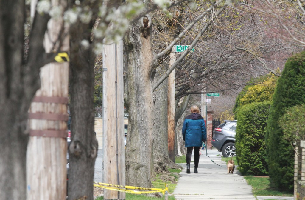 Nuestros Barrios. Country Club - Bronx. Photo Credito Mariela Lombard/El Diario NY.