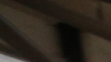 Juan Lizarraga - Co-fundador de Koala Romie, una website que ayuda a encontrar personas para compartir habitación en Nueva York. Mariela Lombard