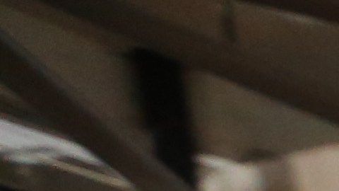 Juan Lizarraga - Co-fundador de Koala Romie, una website que ayuda a encontrar personas para compartir habitación en Nueva York. Mariela Lombard