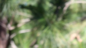 Ninel considera que es muy importante enseñar desde pequeños a los hijos a respetar a las mujeres.