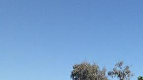 Miembros de UFW participaron en una marcha en Santa Rosa, California.