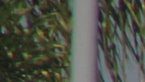 ENFERMOS LATINOS DE ASMA ASEGURAN QUE SUFREN DISCRIMINACIÓN MEDIOAMBIENTAL