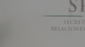 El Senado mexicano ratificó hoy a Carlos Sada como el nuevo embajador de México en Estados Unidos.