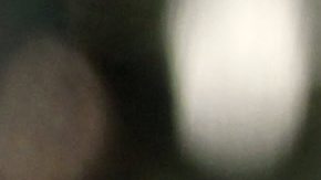 La población de tigres crece a nivel mundial