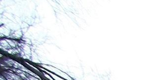 Las tormentas que durante las últimas horas azotaron a los estados de la Costa del Golfo de México se cobraron la vida de una mujer en Texas