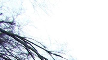 Las tormentas que durante las últimas horas azotaron a los estados de la Costa del Golfo de México se cobraron la vida de una mujer en Texas