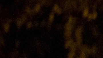 Diana López, hermana del líder opositor venezolano Leopoldo López, muestra el formato firmado por su hermano para solicitar el proceso de referendo revocatorio presidencial , en Caracas.