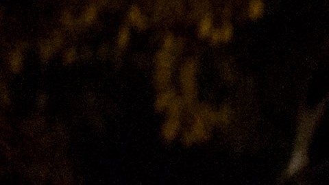 Diana López, hermana del líder opositor venezolano Leopoldo López, muestra el formato firmado por su hermano para solicitar el proceso de referendo revocatorio presidencial , en Caracas.
