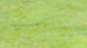 Sinha es un mediocampista de esos que ya no hay.