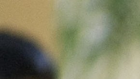 Los nuevos ciudadanos, entre los 4 y los 17 años, provenían de México, Guatemala, Vietnam, Filipinas, India, China y Rusia, así como de Irak, Turquía y Egipto, entre otros.