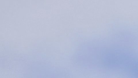 El grupo automovilístico alemán Volkswagen ha llegado a un acuerdo con las autoridades estadounidenses e indemnizará con 5.000 dólares (4.400 euros) a cada cliente con un vehículo con un motor manipulado
