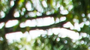 La oposición se adjudica una gran victoria en la recolección de firmas para revocar a Maduro. Foto: EFE