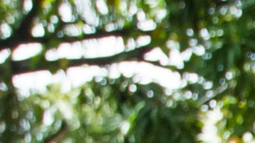 La oposición se adjudica una gran victoria en la recolección de firmas para revocar a Maduro. Foto: EFE