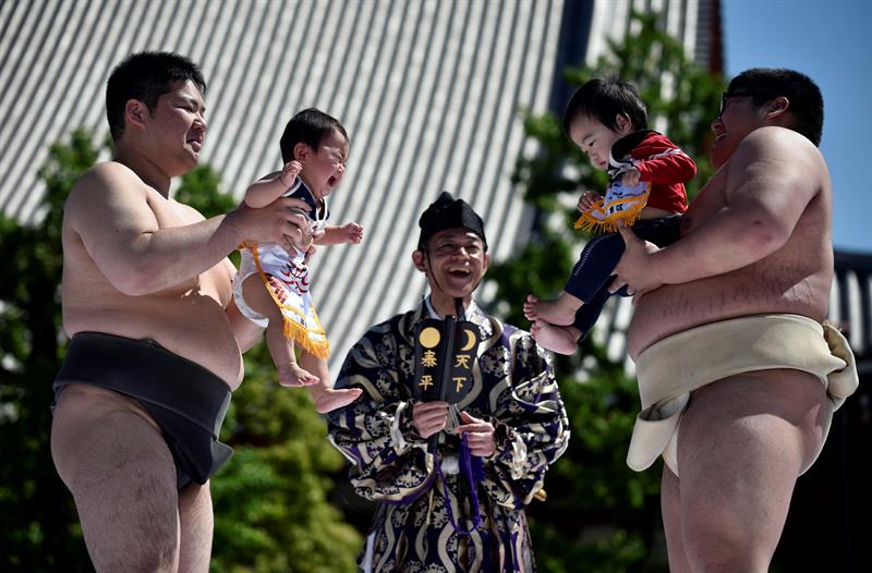 Fotos: El curioso festival de los bebés llorones en Japón