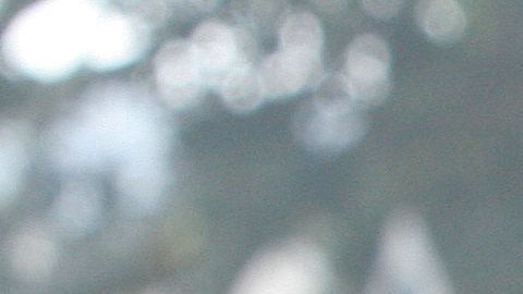 Gloria Saucedo es una de las activistas proinmigrantes más reconocidas de Los Ángeles.