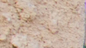 Elba Marroquin (i) y sus hijos Angel (d) y Dulce (c) esperan la audiencia final en una corte de inmigracion que decidira si los menores se quedan o tendran que abandonar el pais. Los hermanos Rosales, de 12 y 9 años, sienten que el tiempo se les acaba. El próximo día 15 tendrán la audiencia definitiva frente a un juez de inmigración y las estadísticas les hacen temer lo peor. "Me siento muy nerviosa, a veces oro antes de dormirme porque me siento muy tensa cuando voy con el juez", relató Dulce a Efe. Ángel y Dulce tienen representación legal pro bono desde su primera corte, y llevan 18 meses en el proceso. EFE/Felipe Chacon.