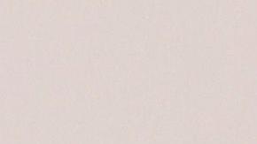 Uno de los murales que se exhibe afuera de una vivienda en el barrio de Xanenetla en Puebla.