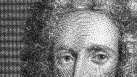 newton