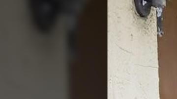 Dania Palma junto a su esposo Carlos Alberto Ramírez y sus dos hijos.