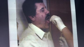 otografías mostradas por la Procuraduría General de la República (PGR) de las pruebas de identificación realizadas a Joaquín Archivaldo Guzmán, alías el Chapo Guzmán, tras su detención en Mazatlán, México en 2014.