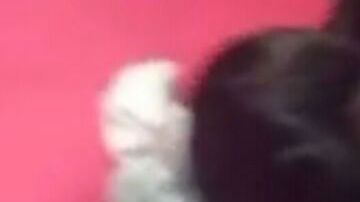 Las extranjeras fueron maniatadas.