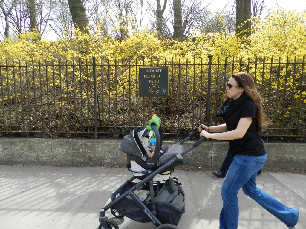 Nuestros Barrios Prospect Park - Washington Ave - Brooklyn Museum - Botanic Garden