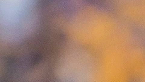 Ricardo "Tuca" Ferretti