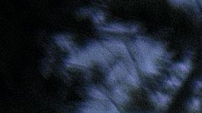 Las autoridades han tenido que intervenir después de que un nuevo grupo nacionalista difundiera el lunes un vídeo sobre la "detención" de tres aterrorizados inmigrantes.