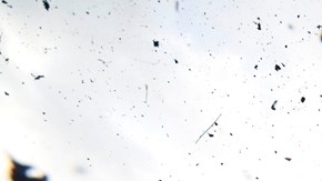 Foto de archivo de una carrera en Newbury, Inglaterra.